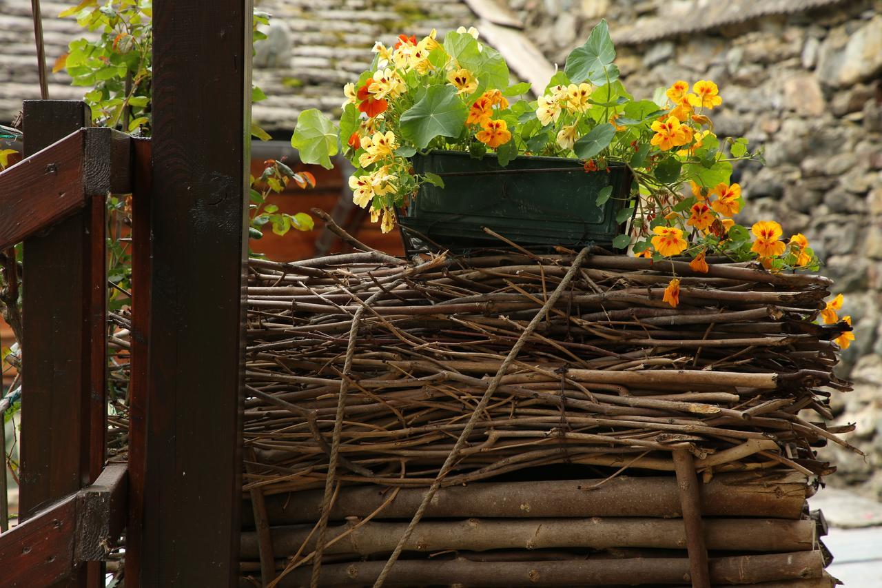 Residence Casa Dei Fiori Alagna Valsesia Εξωτερικό φωτογραφία